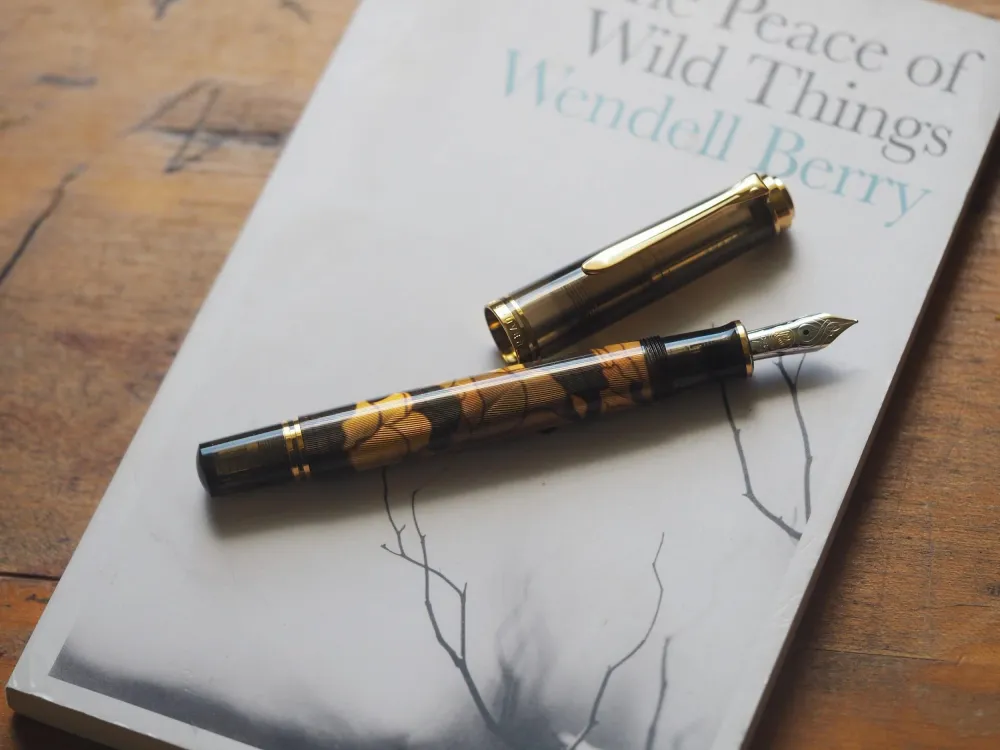 Pelikan Souverän M600 Fountain Pen - Special Edition - Art Collection Georg Tippel